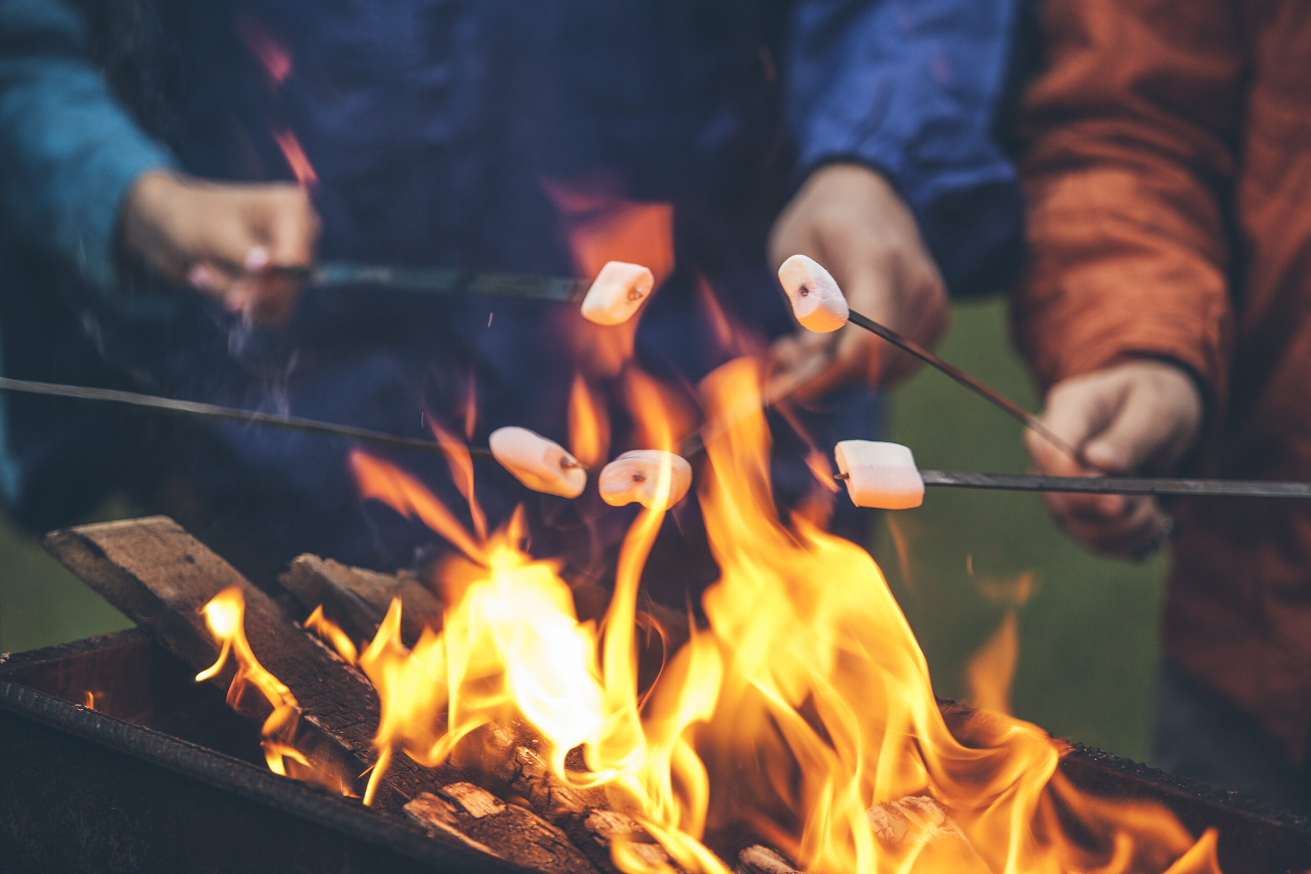 Над огнем. Перемешать над огнем. Family are Roasting Marshmallows over the Fire Pit..